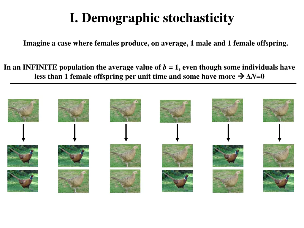 i demographic stochasticity 2