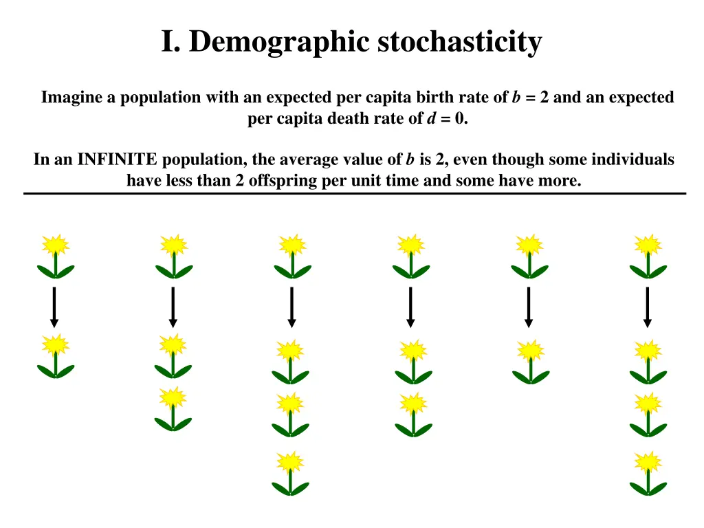 i demographic stochasticity