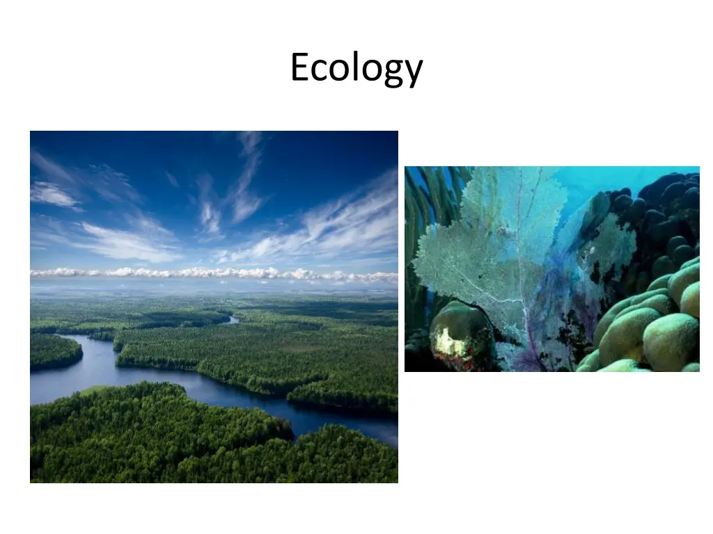 ecology