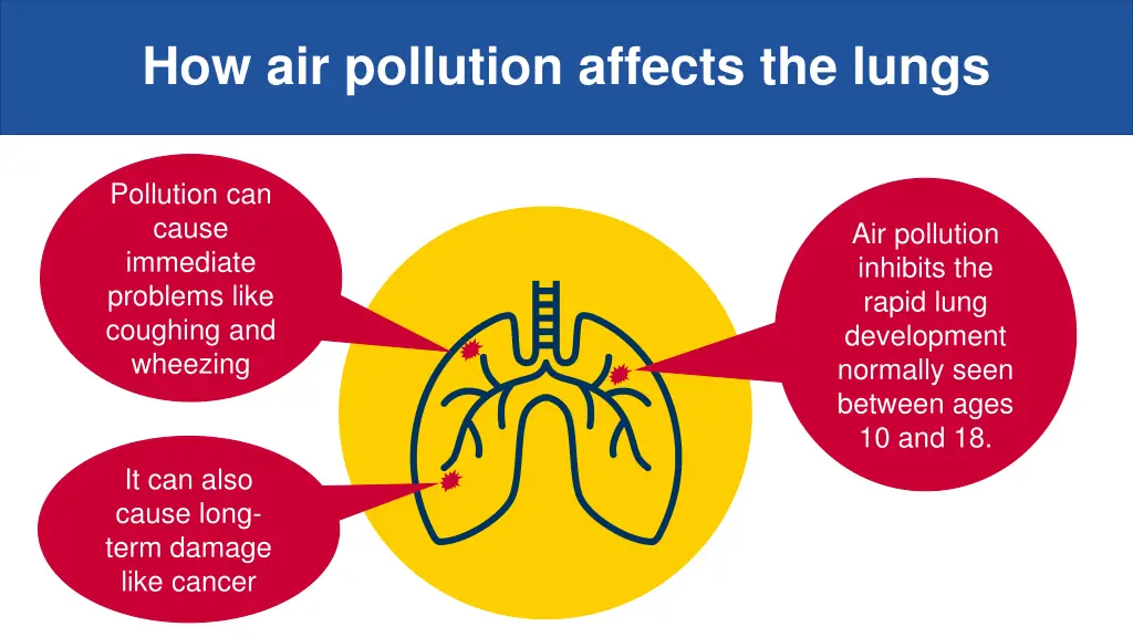 how air pollution affects the lungs