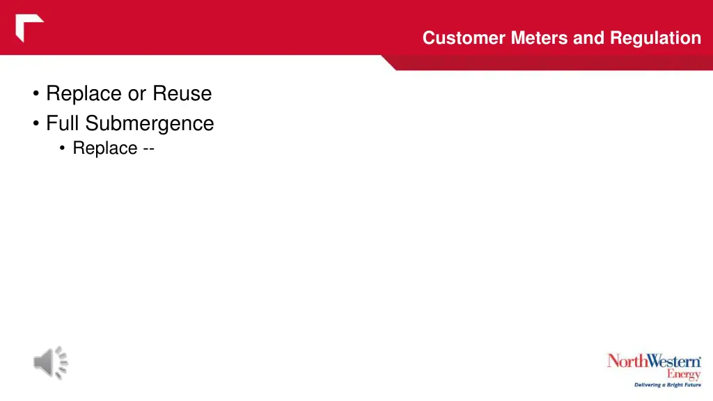 customer meters and regulation