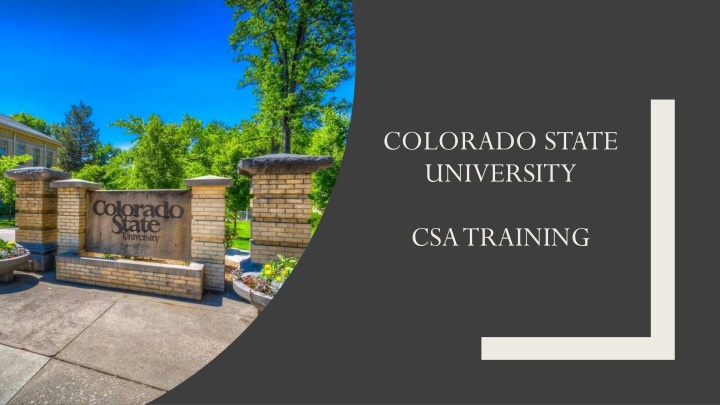 colorado state university