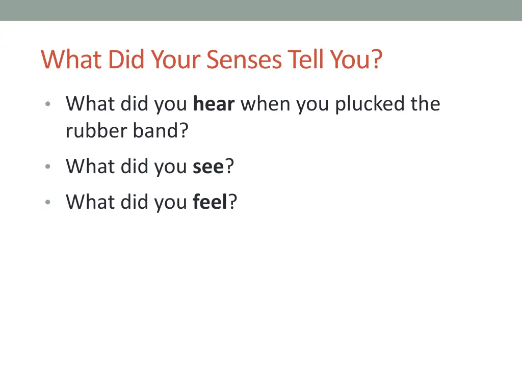 what did your senses tell you