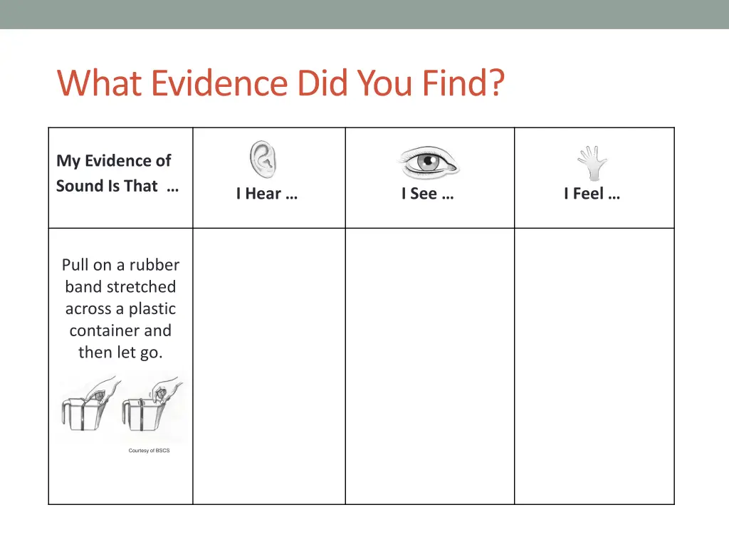 what evidence did you find