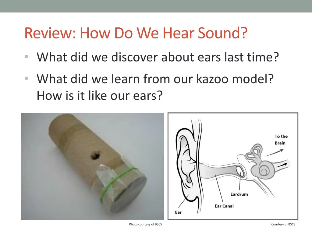 review how do we hear sound what did we discover