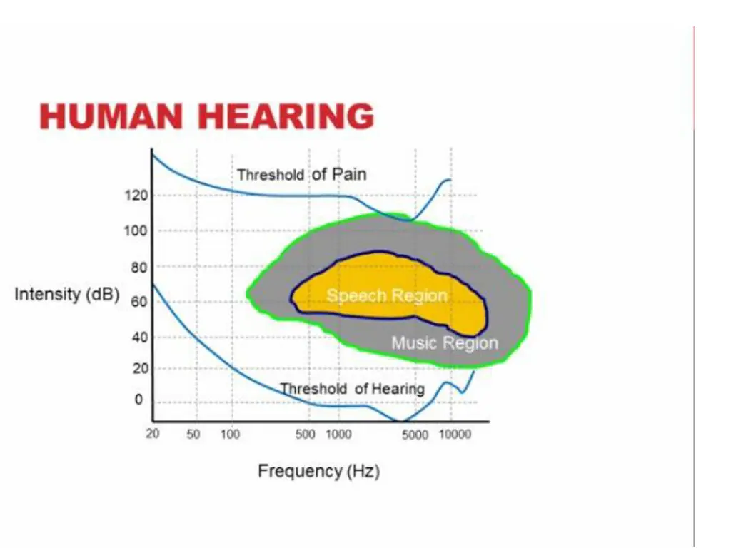 human hearing