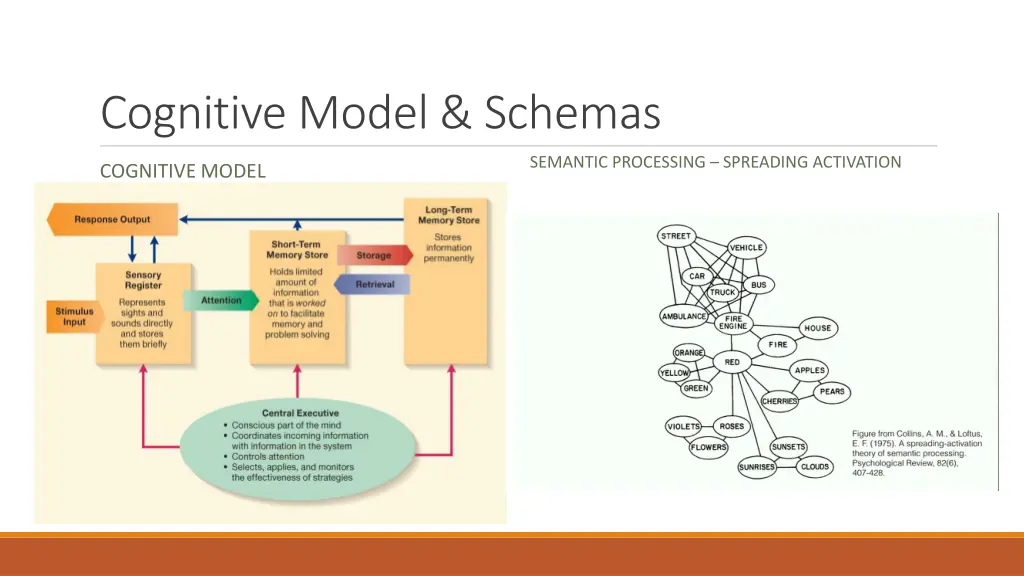 cognitive model schemas