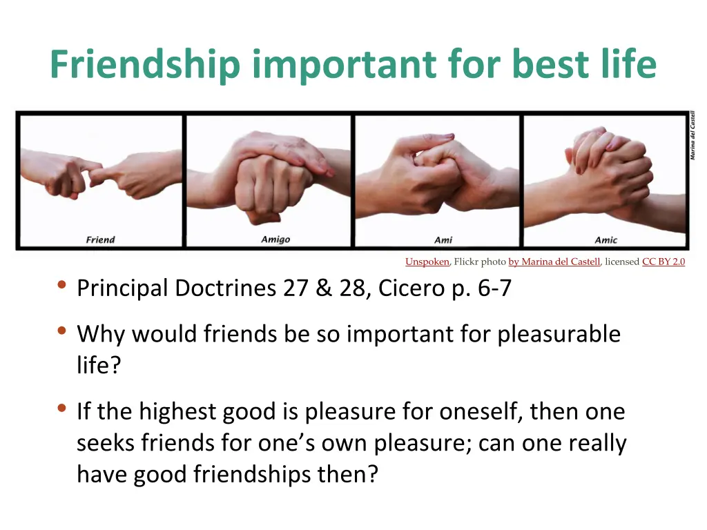 friendship important for best life