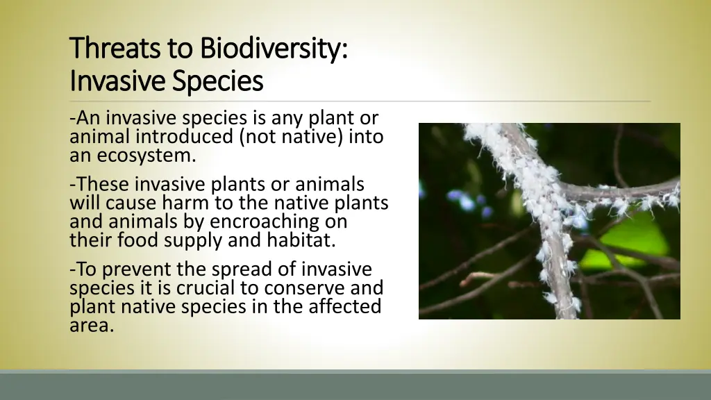 threats to biodiversity threats to biodiversity 1