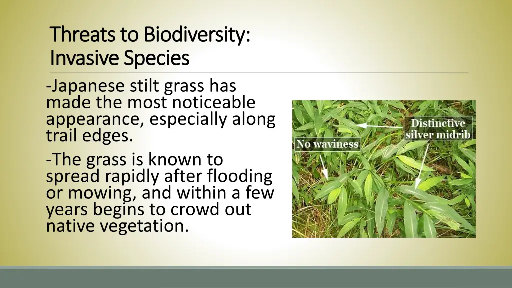 threats to biodiversity threats to biodiversity 2