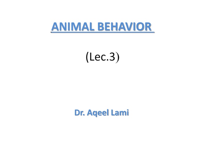 animal behavior