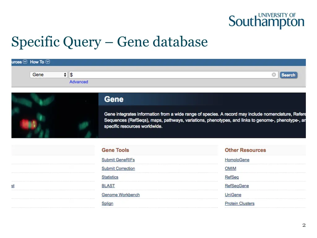 specific query gene database