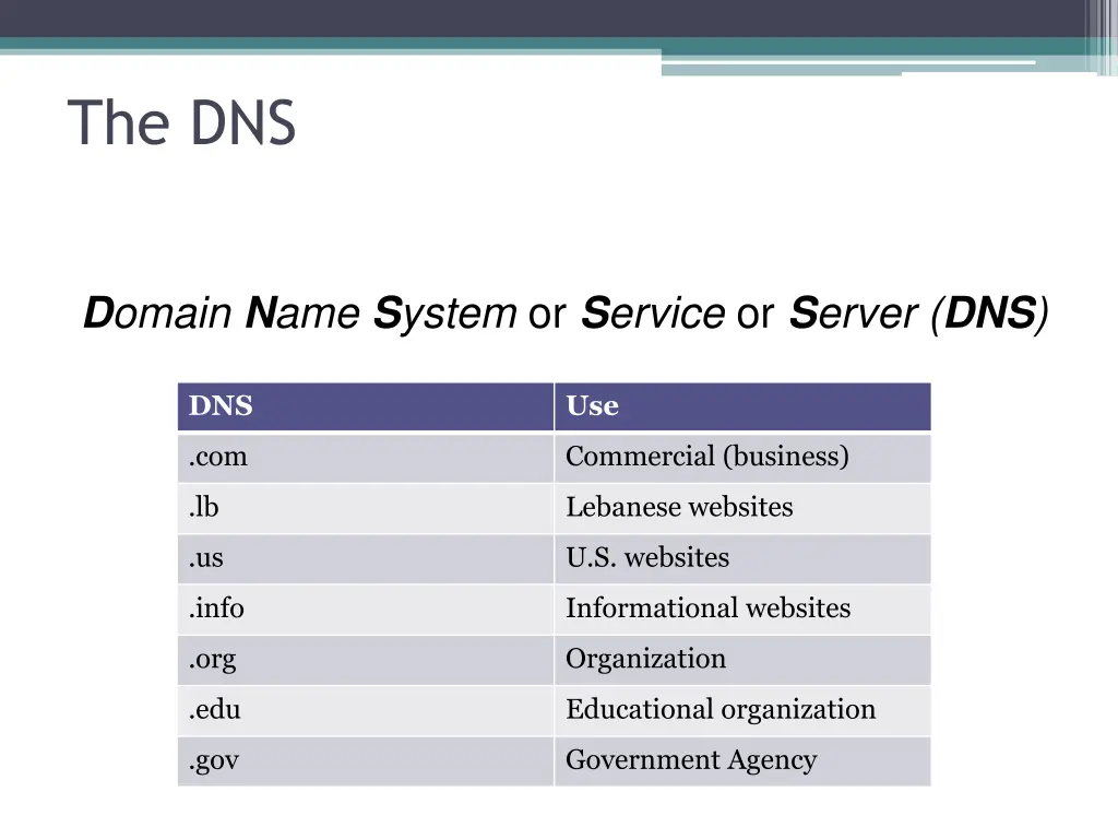 the dns 1