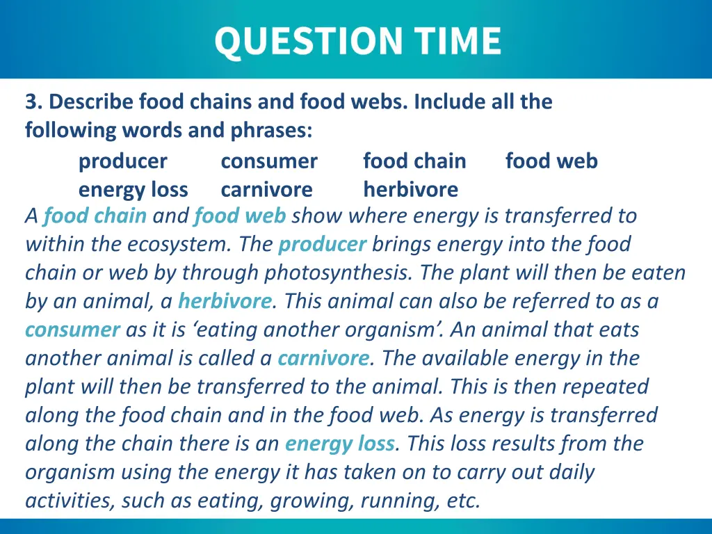 3 describe food chains and food webs include