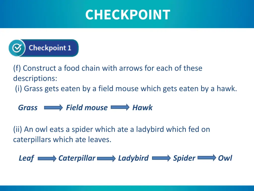 f construct a food chain with arrows for each