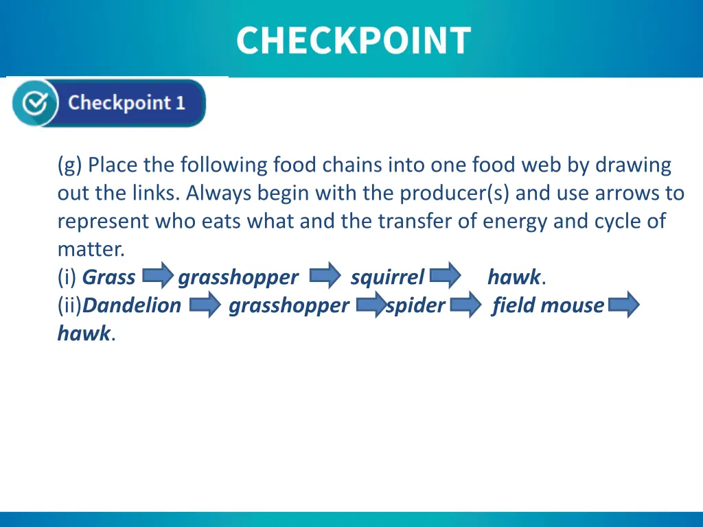 g place the following food chains into one food