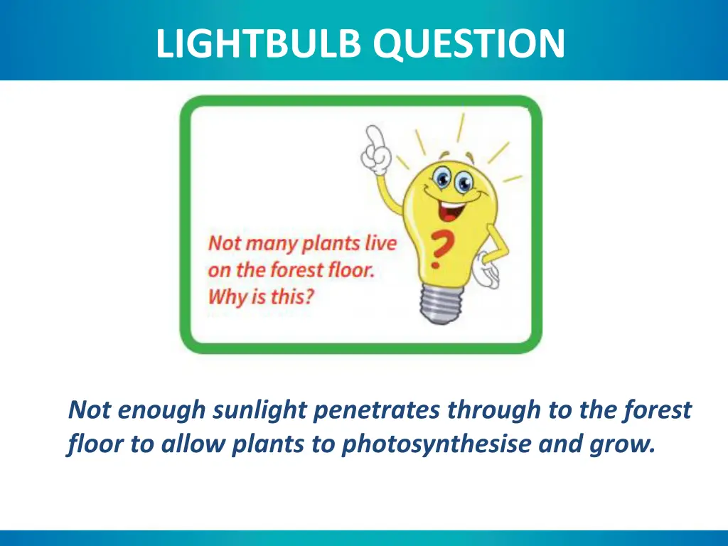 lightbulb question 1