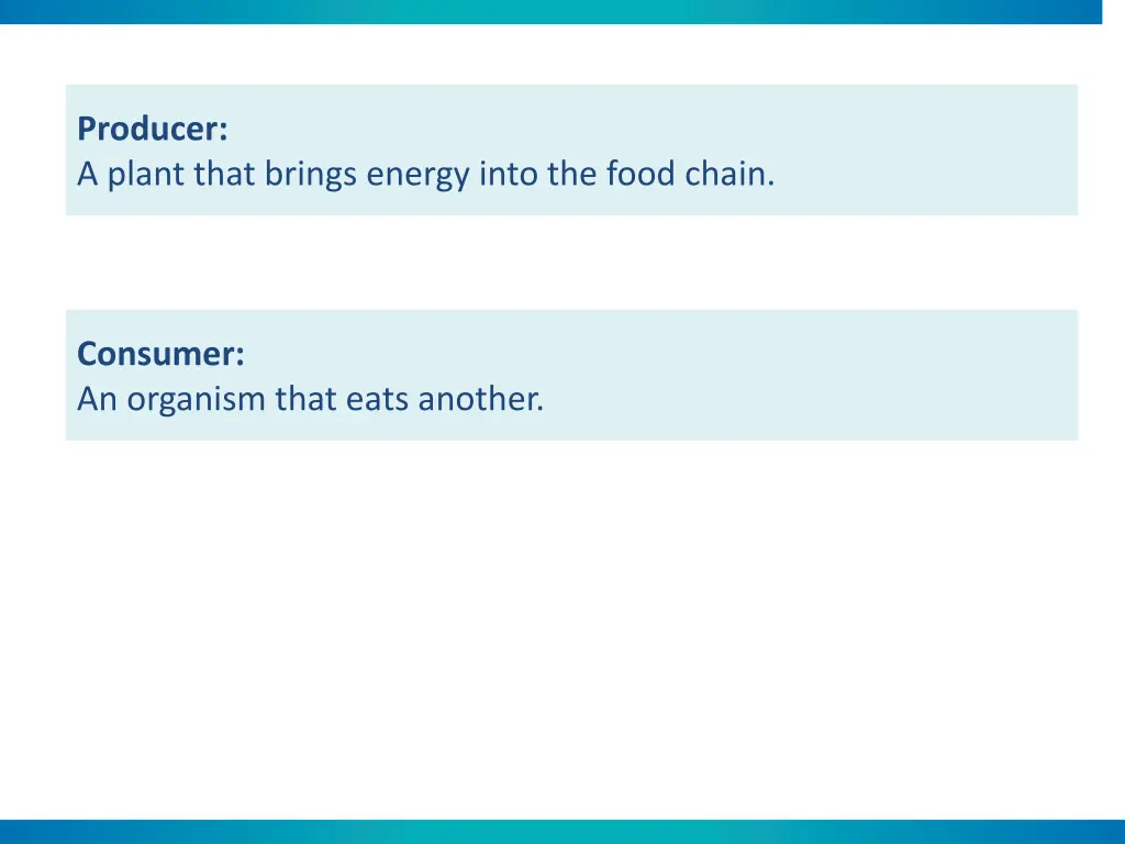 producer a plant that brings energy into the food