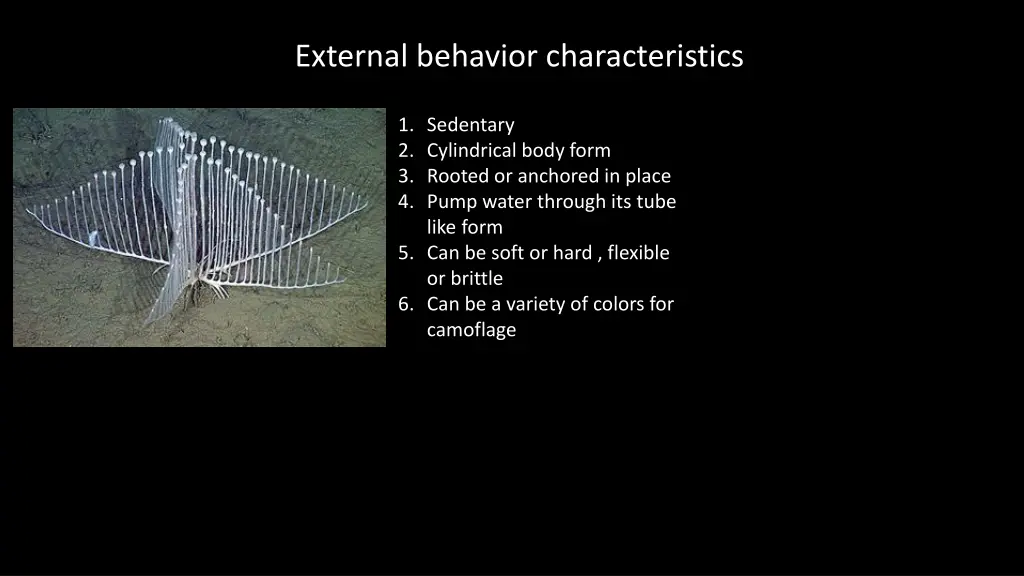 external behavior characteristics