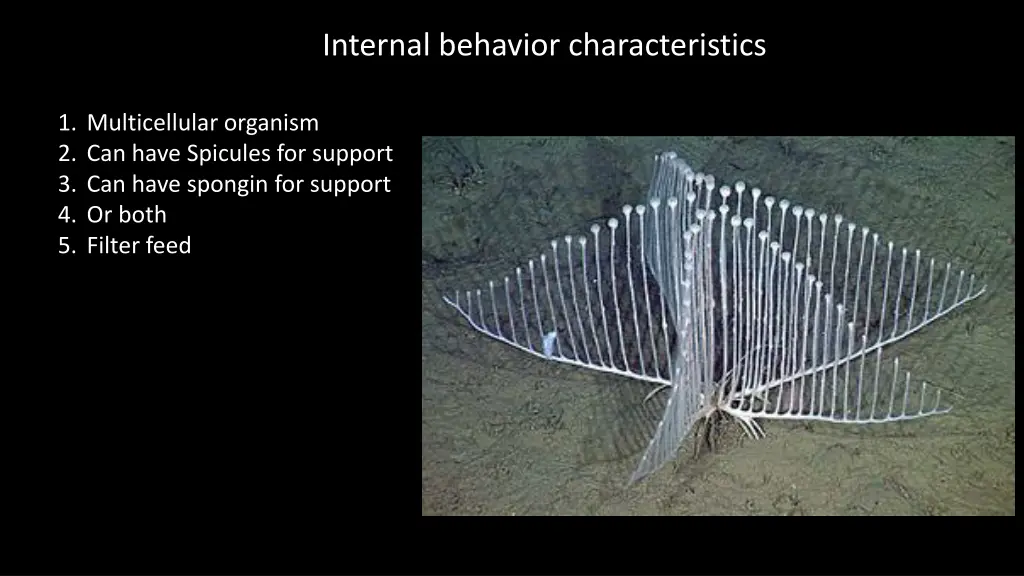 internal behavior characteristics