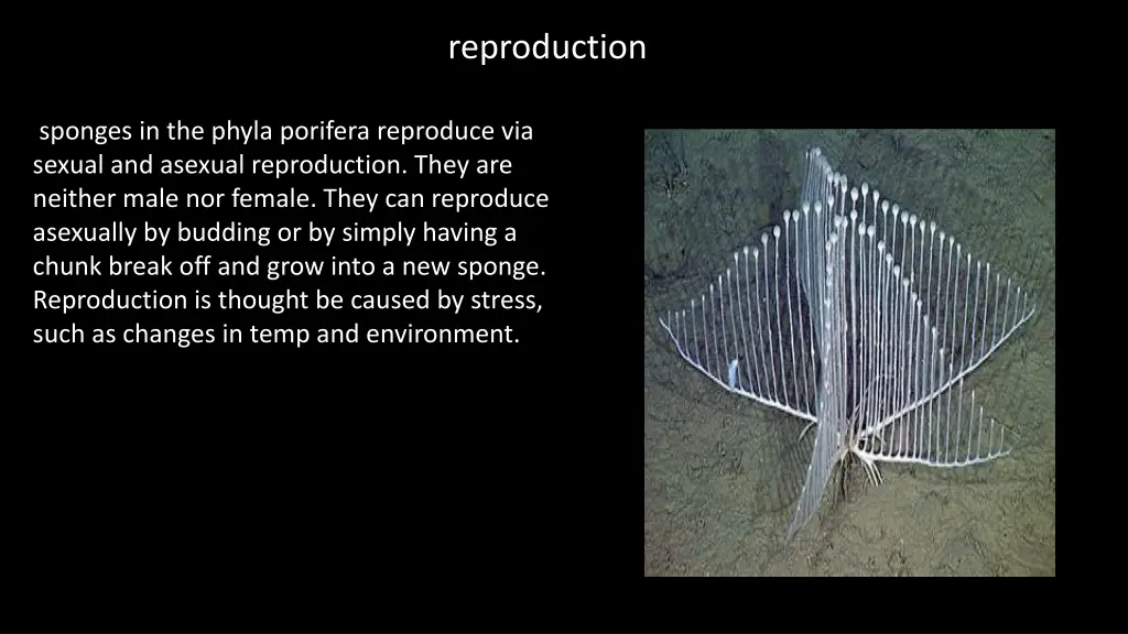 reproduction