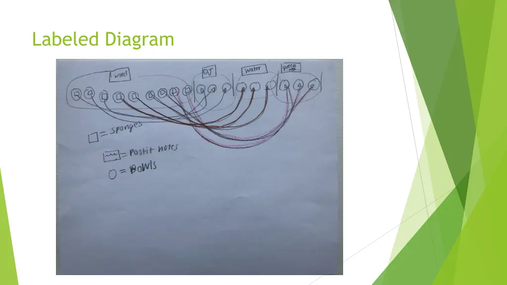 labeled diagram