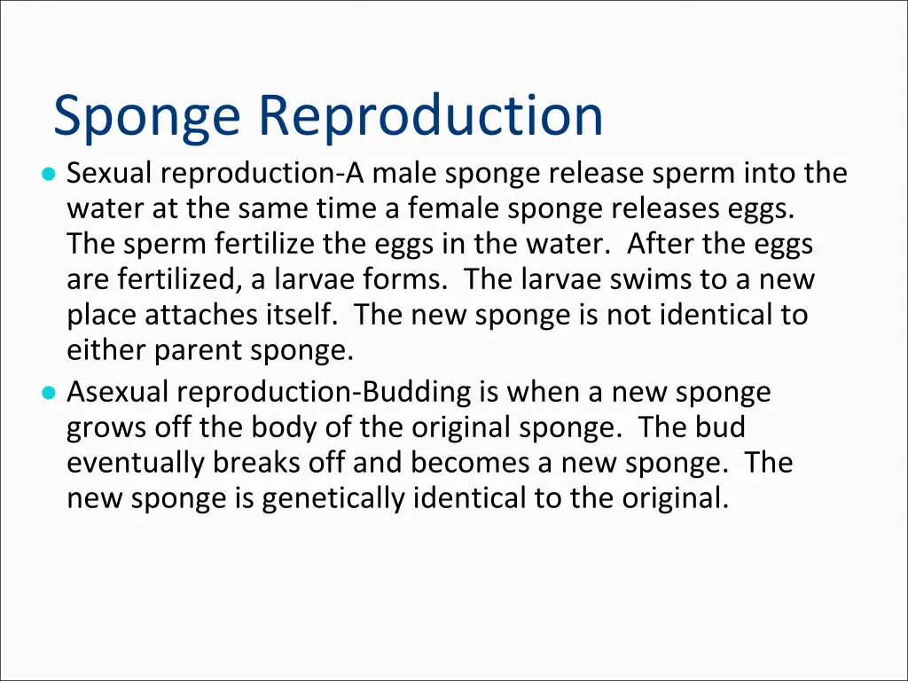 sponge reproduction sexual reproduction a male