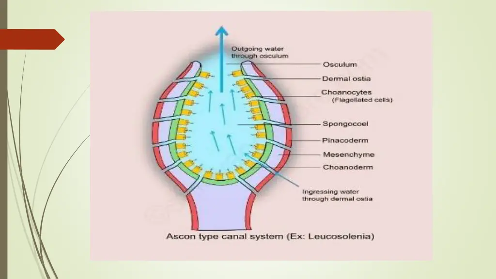 slide7