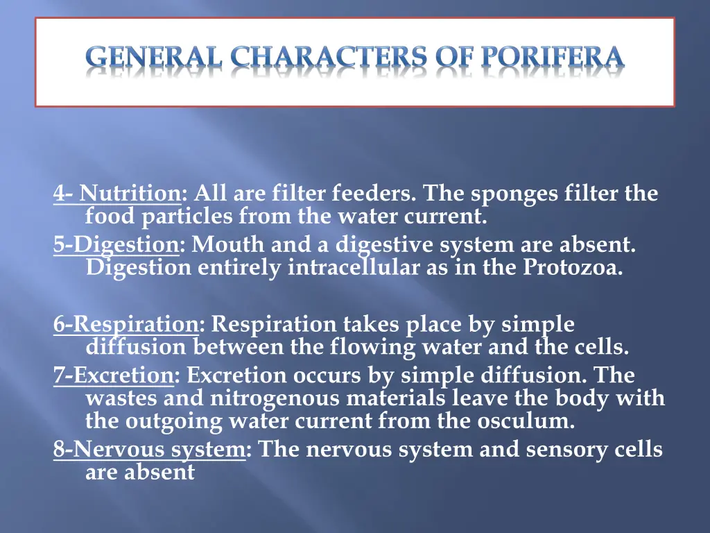 4 nutrition all are filter feeders the sponges