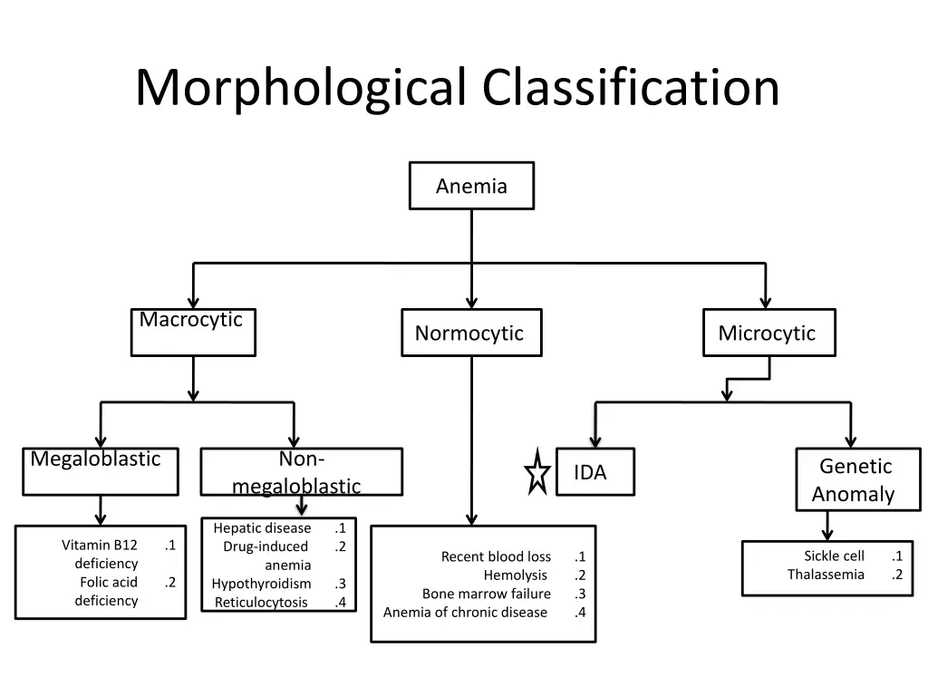 morphological classification