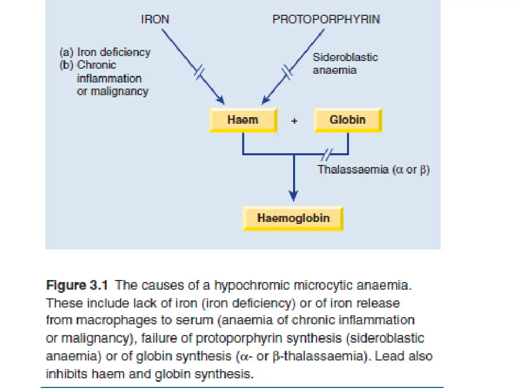 slide12