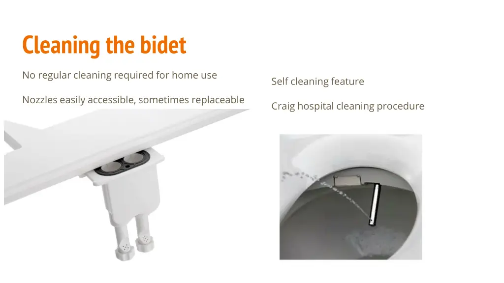 cleaning the bidet