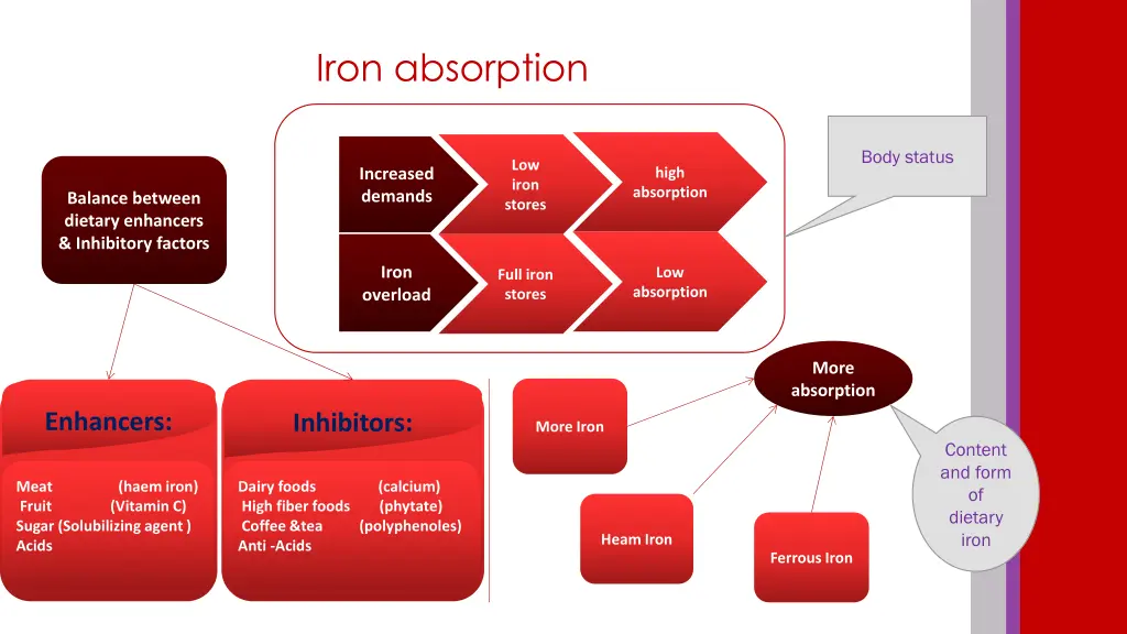 iron absorption