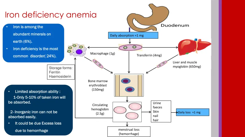 iron deficiency anemia