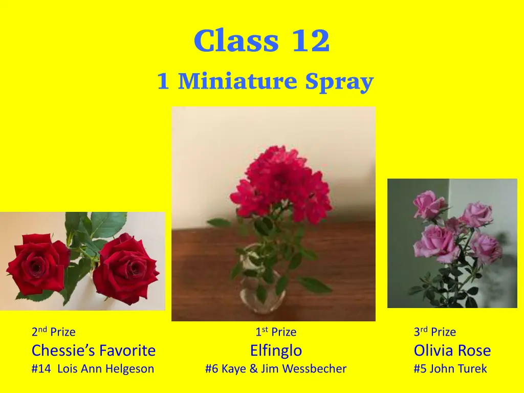 class 12 1 miniature spray