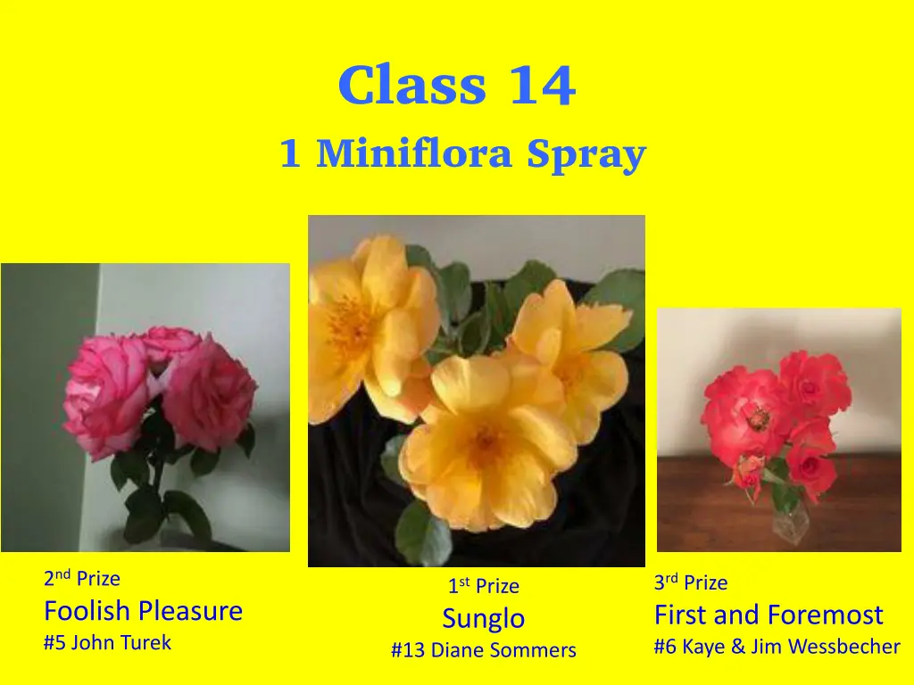 class 14 1 miniflora spray