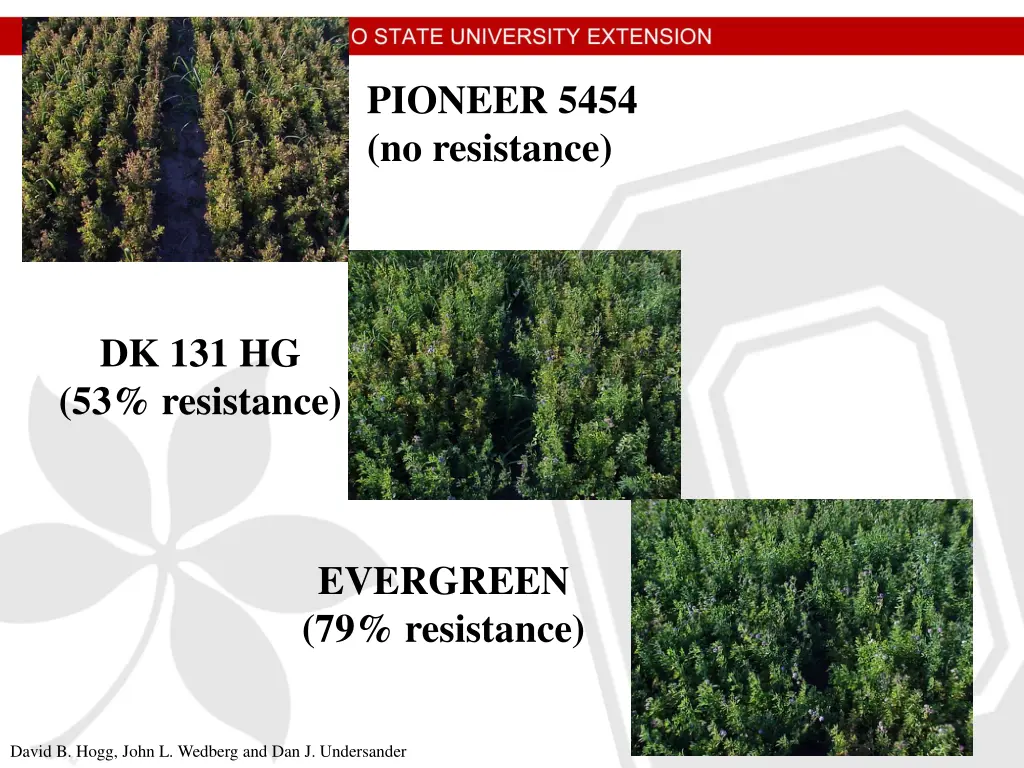 pioneer 5454 no resistance