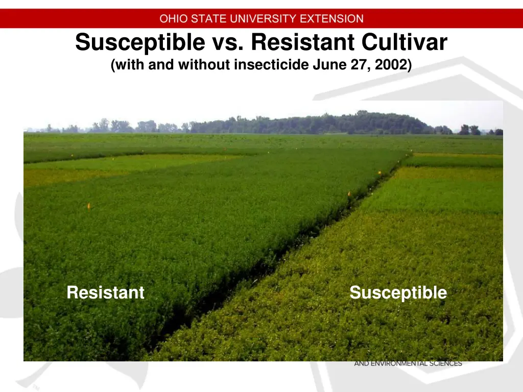 susceptible vs resistant cultivar with 1