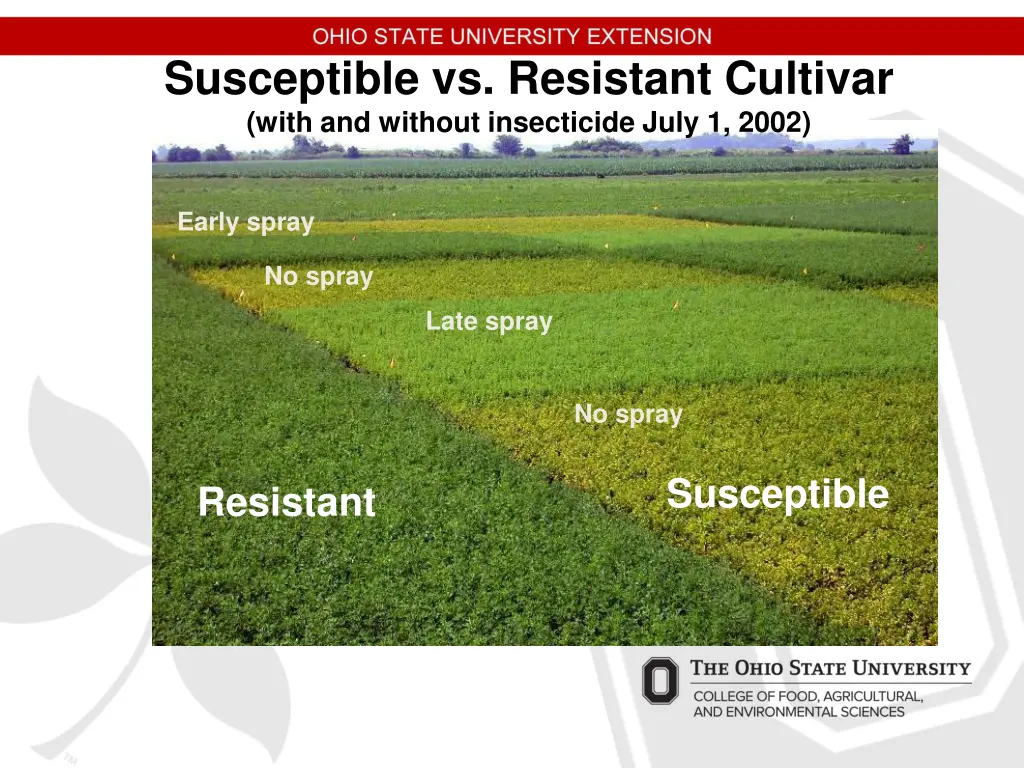 susceptible vs resistant cultivar with