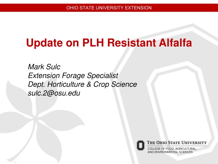 update on plh resistant alfalfa