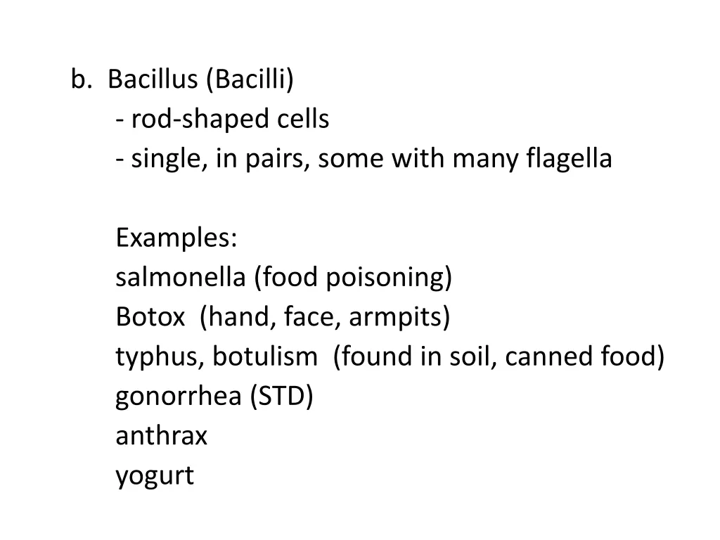 b bacillus bacilli rod shaped cells single