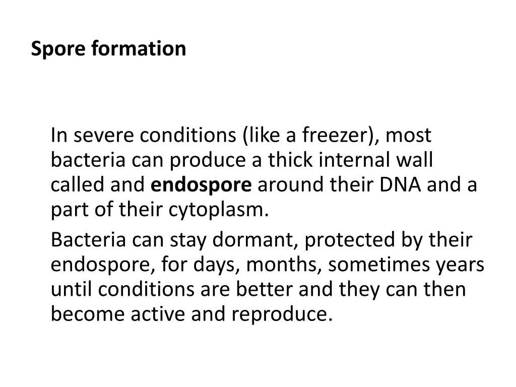 spore formation