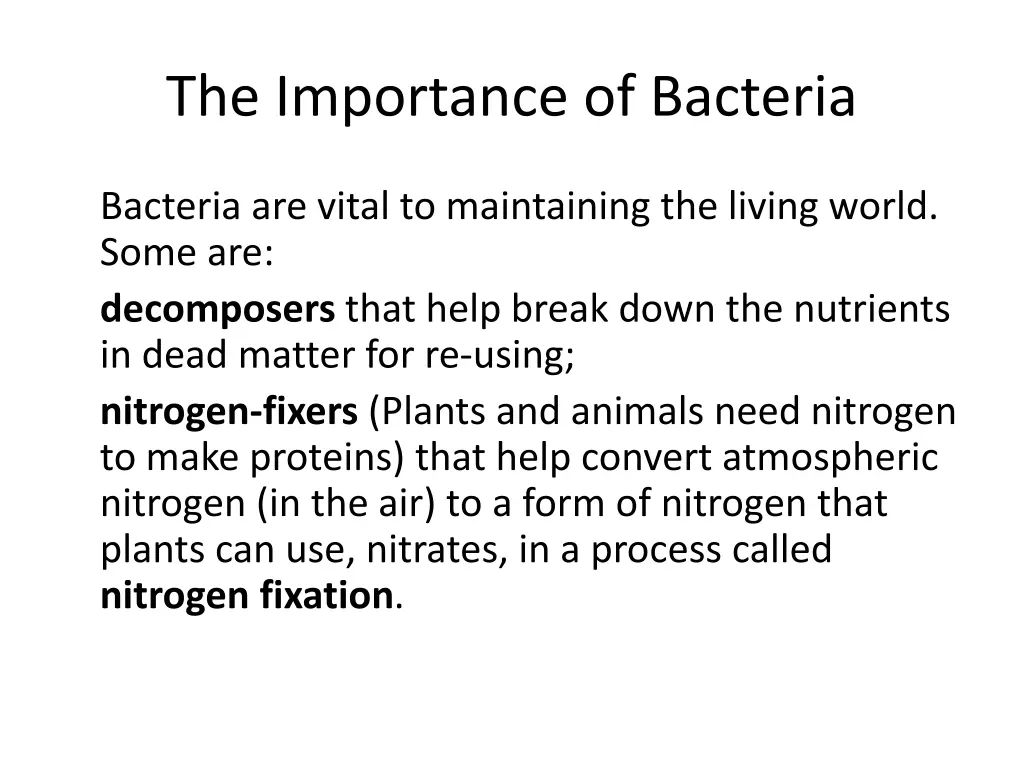 the importance of bacteria