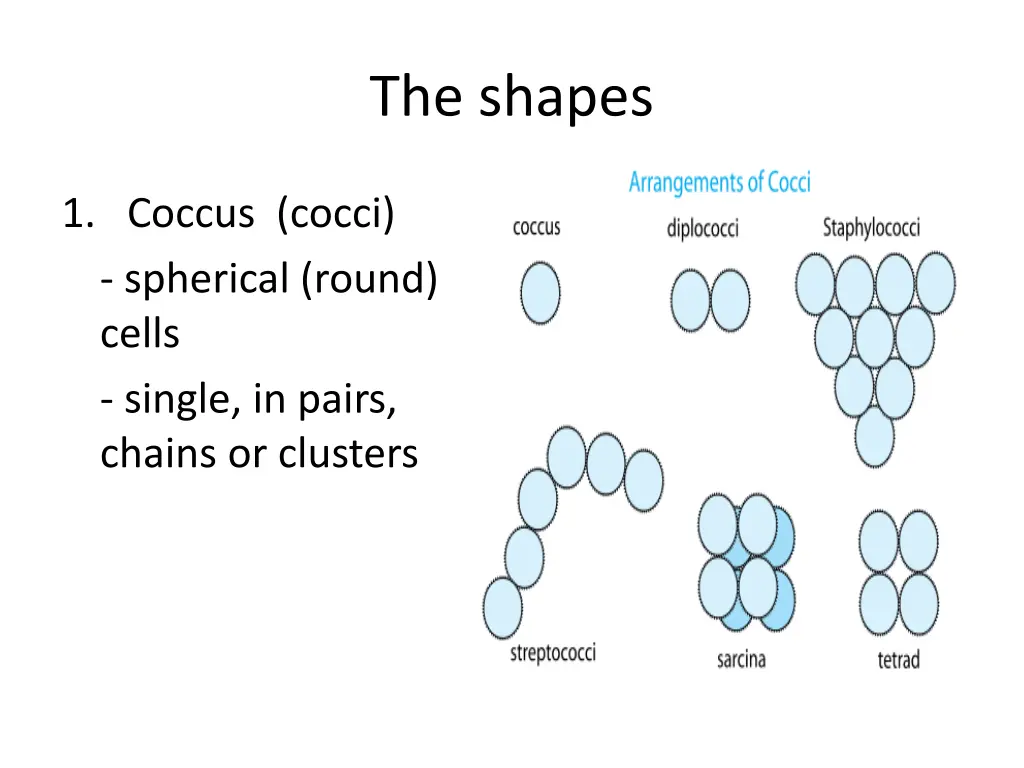 the shapes