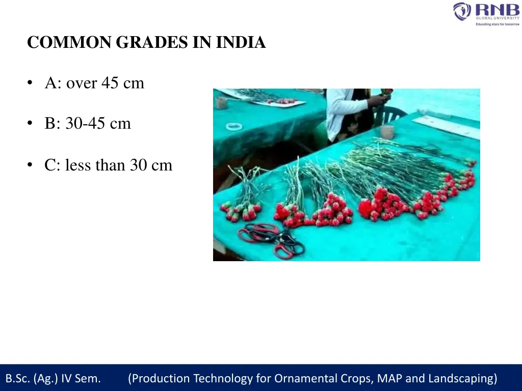 common grades in india