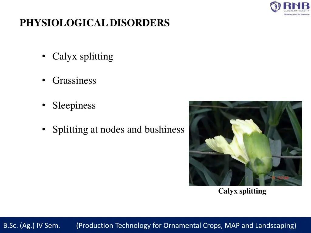 physiologicaldisorders