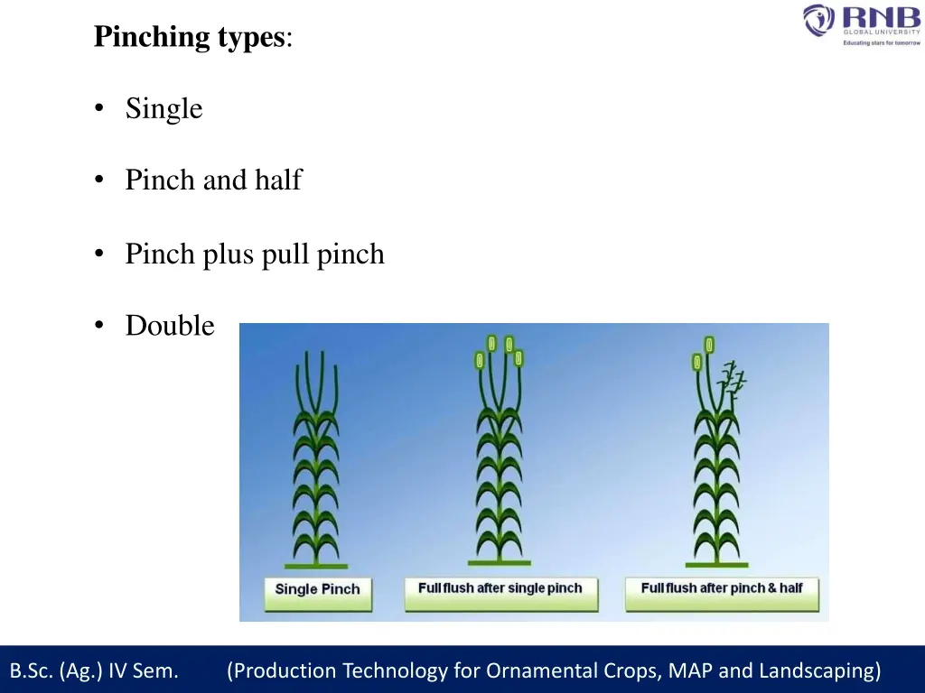 pinching types