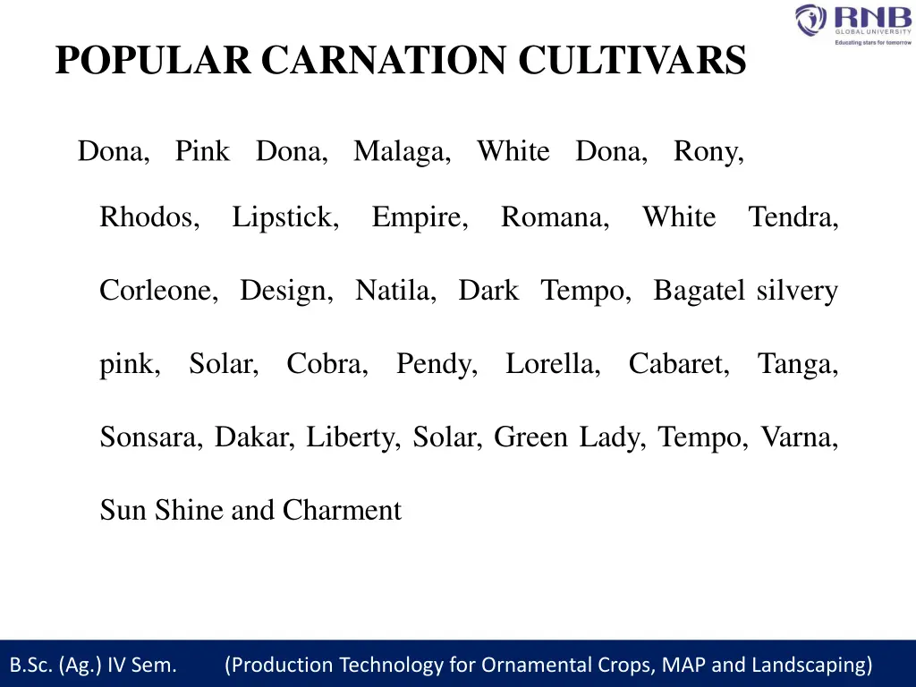 popular carnation cultivars