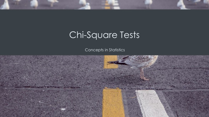 chi square tests