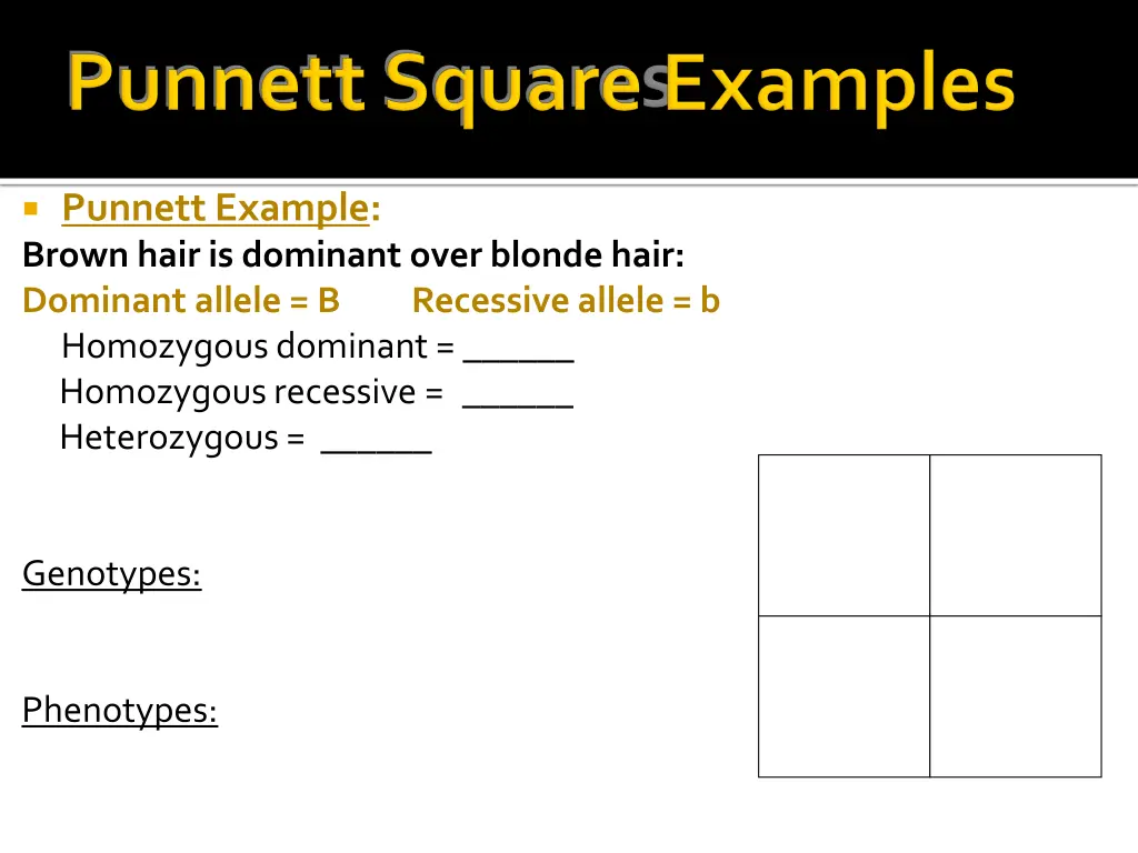 punnett example brown hair is dominant over